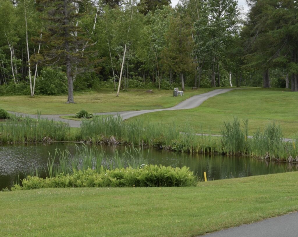 Attraction touristique Chalet Camping de la Pointe